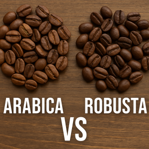 Вечният въпрос: Арабика или Робуста?