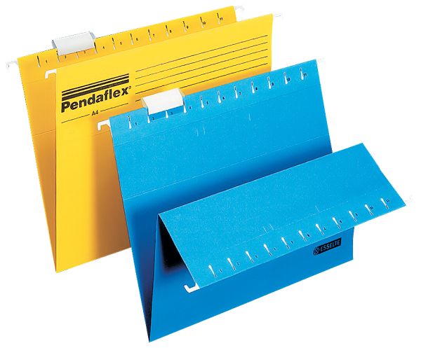 ПАПКА ВИСЯЩА ESSELTE СИН